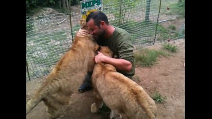 Мъж с взаимна прегръдка с подрастващи лъвове