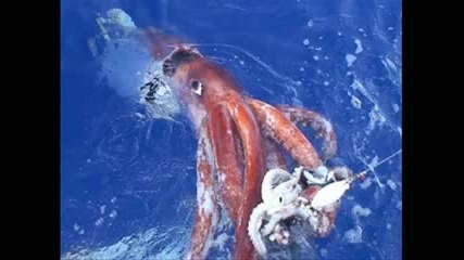 луди снимки 