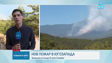 Два пожара бушуват в Югозападна България