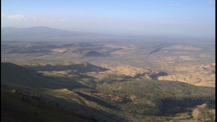 Приматите 