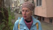 Глутница кучета тормози жители на Бургас