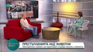 Над 300 милиона животни в ЕС се отглеждат при лоши условия