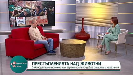 Над 300 милиона животни в ЕС се отглеждат при лоши условия