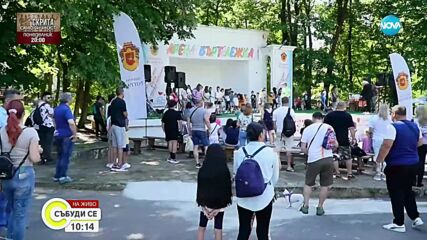 Изложба на домашни любимци: Как в Разград ще отбележат 1 юни