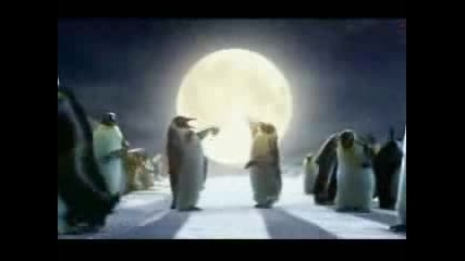 Polar Party