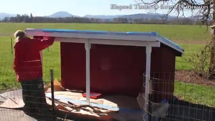 Стопанин построява топъл и уютен дом за трите си кучета