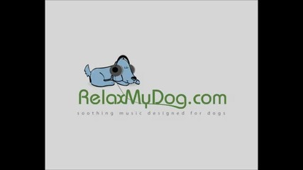 Soothing Relaxing Music to Help Calm your Dog