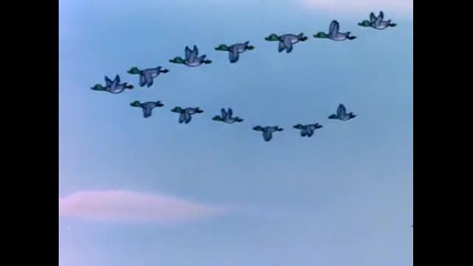 Tom and Jerry - Southbound Duckling [* H Q *]