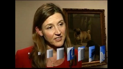 Лабрадори, немски овчарки и златни ретрийвъри - най-популярните породи кучета в САЩ