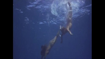 The Blue Lagoon (1980) - Bg Subs [част 4]