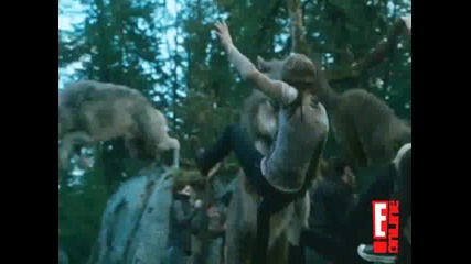 Catch Up With the Cullens 