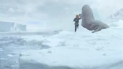 Горкичкият Липи , набит и от морж
