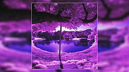 The Game feat. Lorine Chia - Rest In Purple
