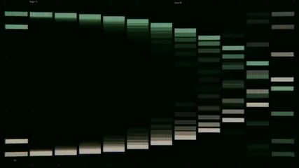 Paul van Dyk Verano featuring Austin Leeds (official Music V