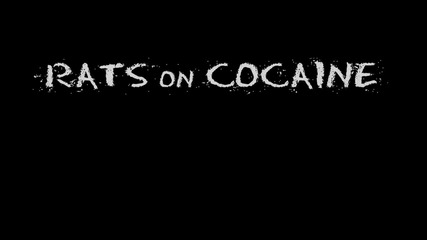 Rats On Cocaine - [ 01 ] - Late