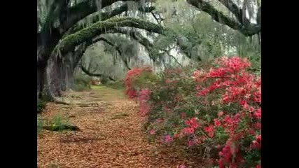 Andre Rieu - My Way