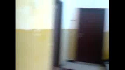 deiba