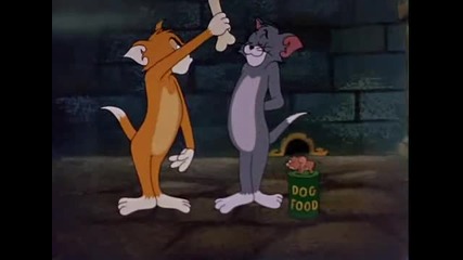 Tom And Jerry - Switchin Kitten