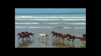 Майнкрафт sharksurvival еп 2