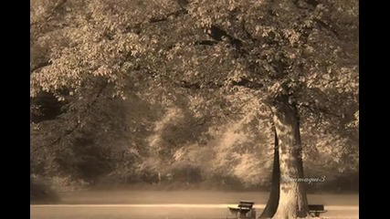 Gary Moore -need your love so bad