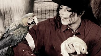 Michael Jackson You Can Be King Again / В чест и почит към Краля /...25.06.2016