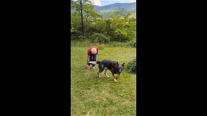 Vid_30500705_024854_855.mp4