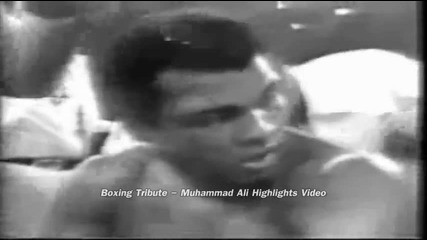 Hd Muhammad Ali Knockouts 