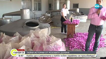 Хиляди се стичат към Долината на Розите