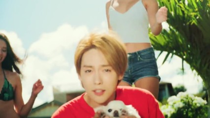WINNER - ISLAND