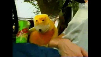 mr. Oizo - Levis.avi