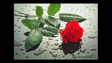 моята тайна - любовта ми към теб