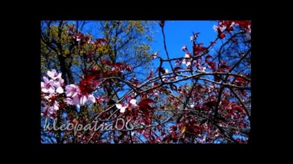 Boney M - Rivers of Babylon Vbox7