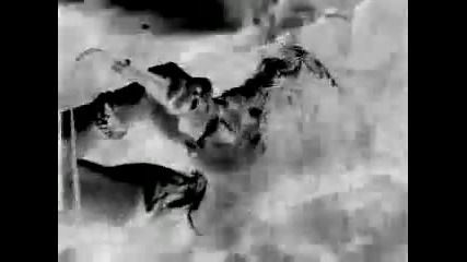 Witchburn - Army Of Voices