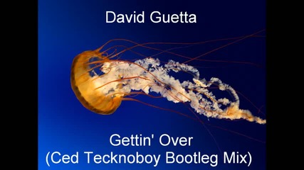 David Guetta - Gettin Over Ced Tecknoboy Bootleg Mix 