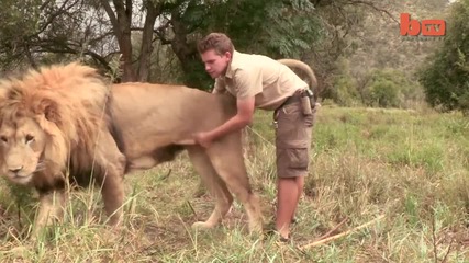 Lion Tamer Teenager In South Africa