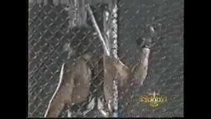 WCW WARGAMES 2000 - WCW CHAMPIONSHIP