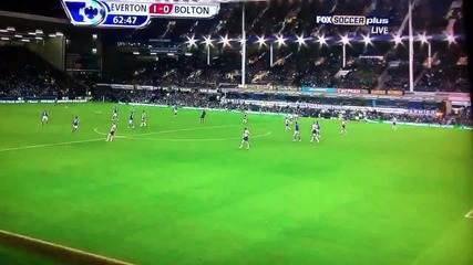 Tim Howard Everton Goal