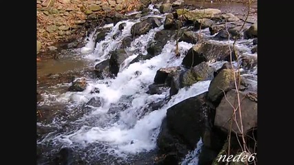 "by the Rivers Dark"