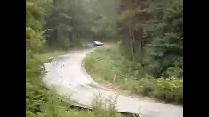Rally fatal crash