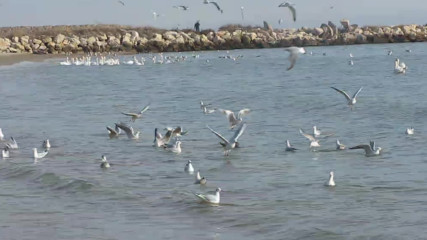 Varna - Black Sea Coast today 023