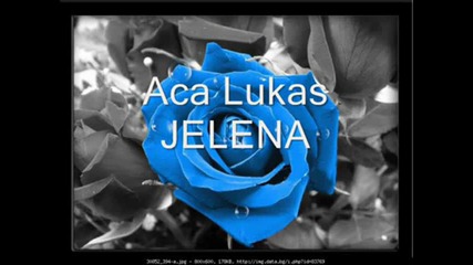 Aca Lukas - Jelena - Prevod