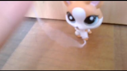 как да направите гипс за вашите littlestpetshop
