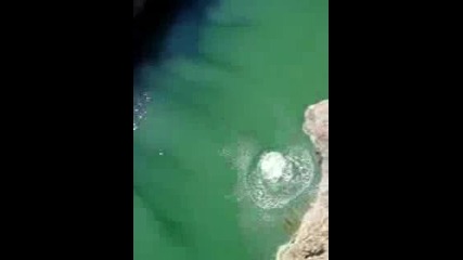 Мацка скача от 35 метра