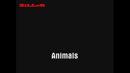 * N E W * K i L L e R* Animals 