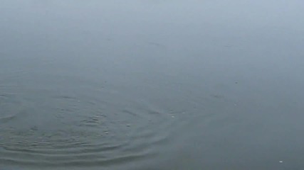 бяла мряна 4кг.