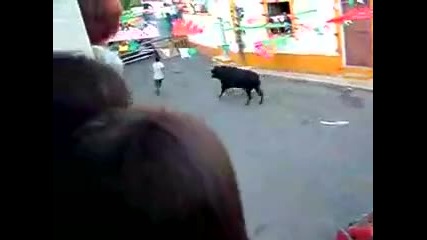 Лудаци се ебават с бик! 