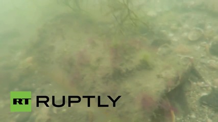 Russia: Ancient pottery discovered off Crimean coast