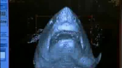 National Geographic - White Sharks 