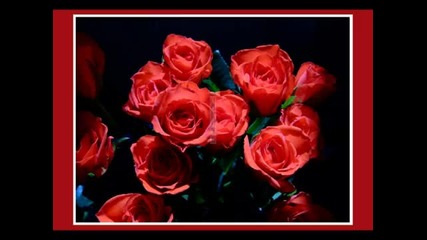 Muttertag 13 Mai - 1000 rote rosen fur Mama