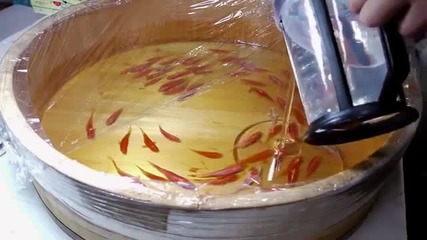 Невероятни 3d рибки .